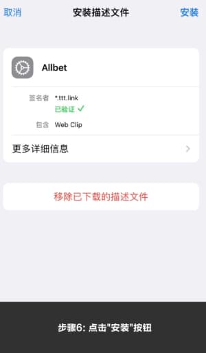 欧博 iOS 客户端安装与配置流程图示6