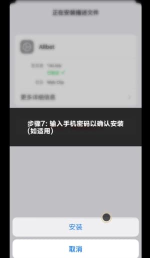 欧博 iOS 客户端安装与配置流程图示7